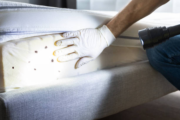  Oak Hills, OR Pest Control Pros