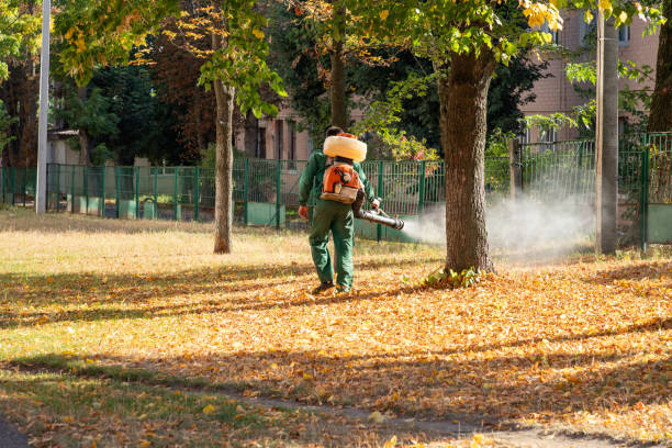 Spider Control Near Me in Oak Hills, OR