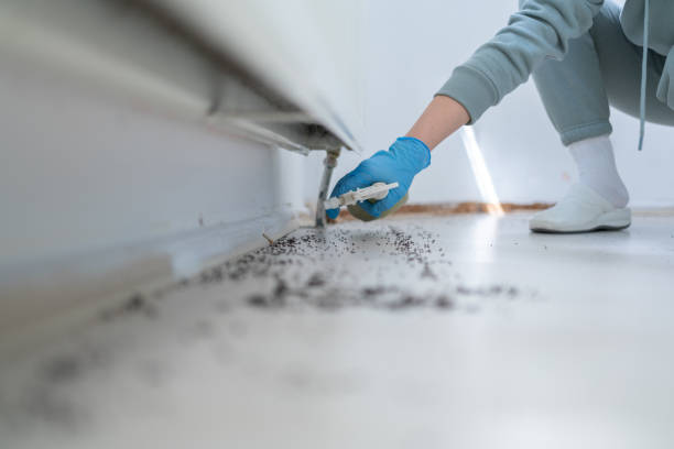 Bird Control in Oak Hills, OR